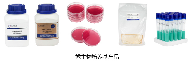 北京陸橋與您相約全國科普日 助力國家科技，守護(hù)“舌尖上的安全”
